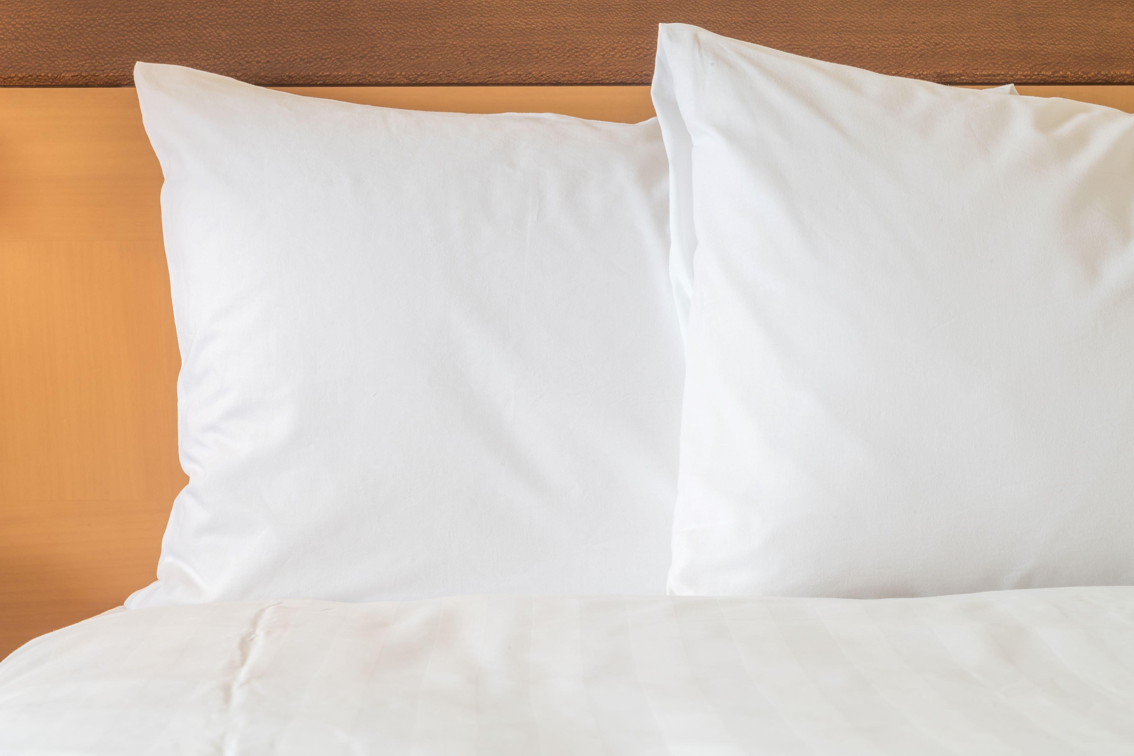 Holiday Inn Express Hotel & Suites Ashland By Ihg Kültér fotó